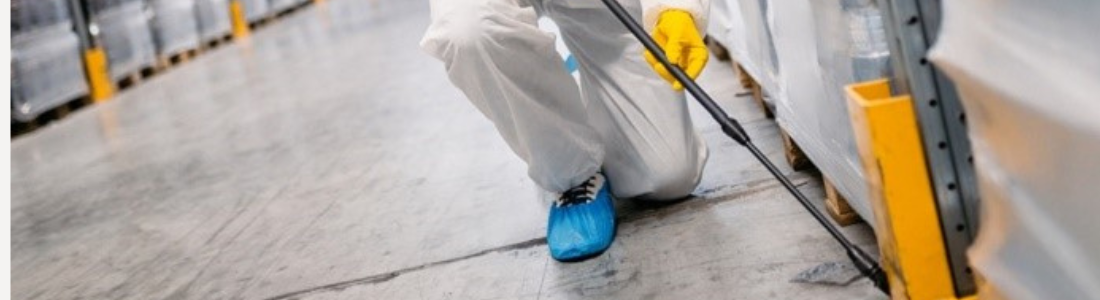 Dedetização em Geral 24 HORAS